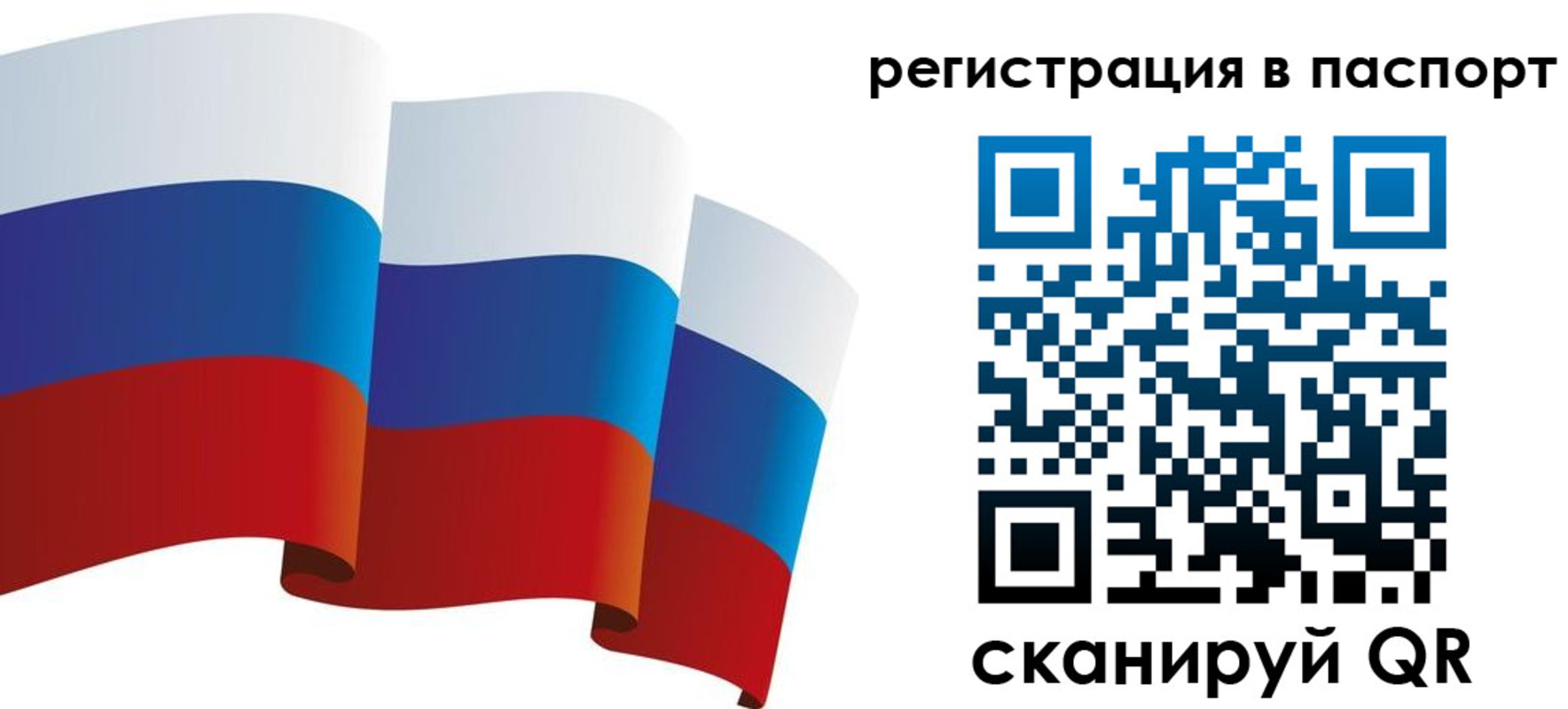 временная прописка в Дмитрове